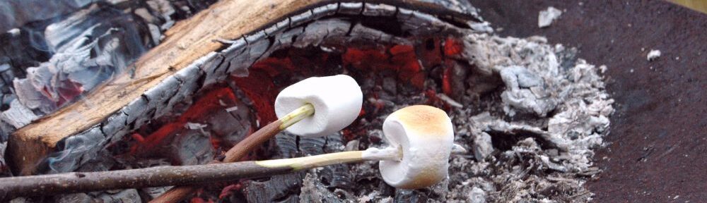 Visnums & Visnums-Kils Hembygdsförening